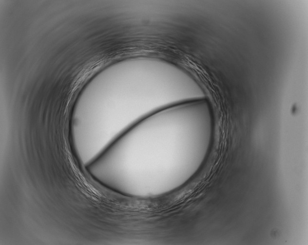 X0000113540049200909181033