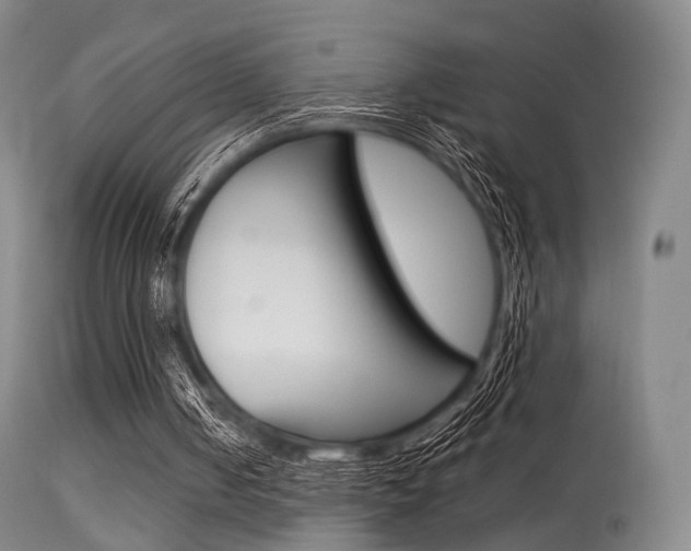 X0000113540050200909181033