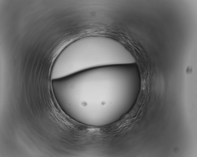 X0000113540052200909181033