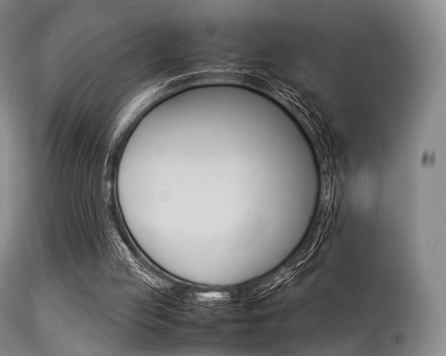 X0000113540053200909181033