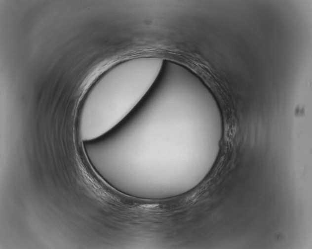 X0000113540054200909181033