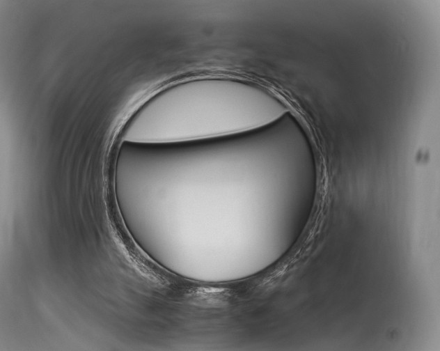 X0000113540055200909181033