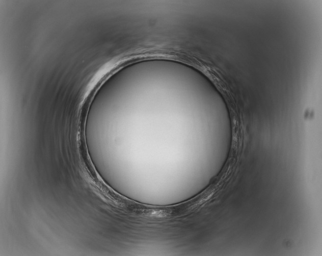 X0000113540056200909181033