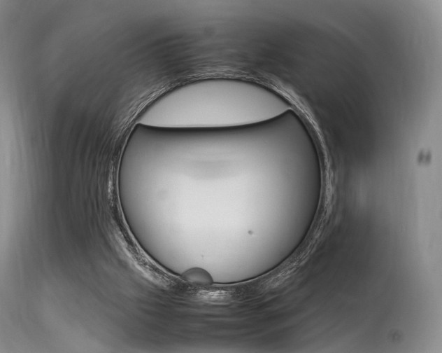 X0000113540057200909181033