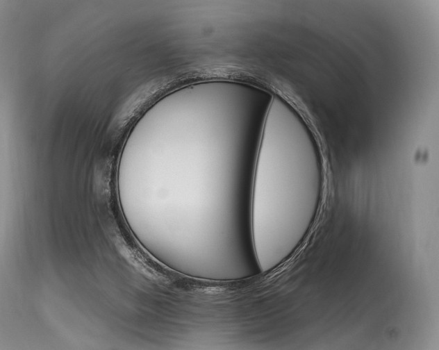 X0000113540058200909181033