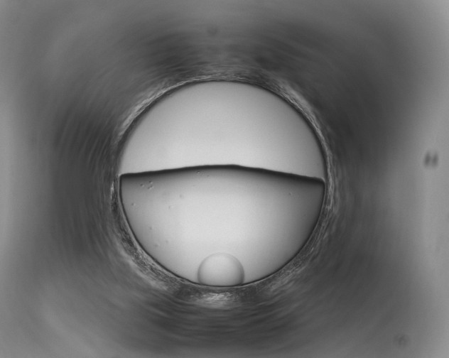 X0000113540059200909181033