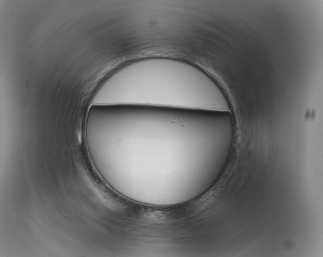 X0000113540062200909181033