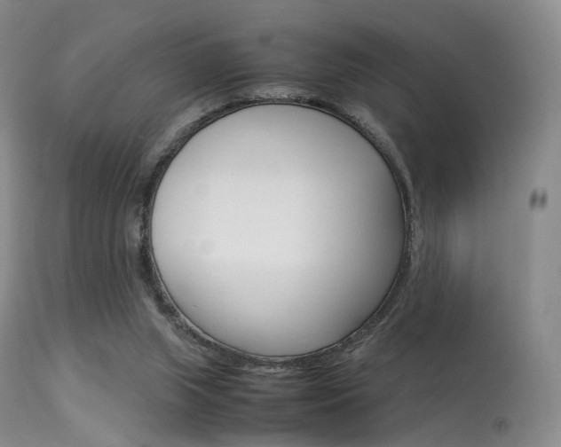 X0000113540063200909181033
