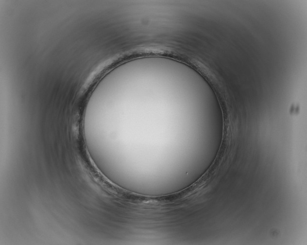 X0000113540064200909181033