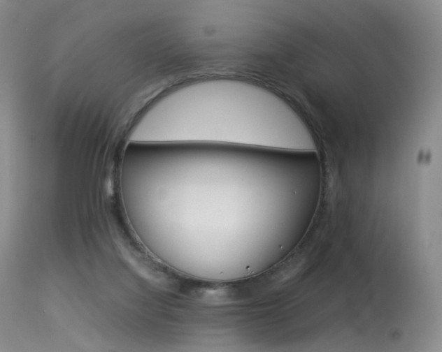 X0000113540068200909181033