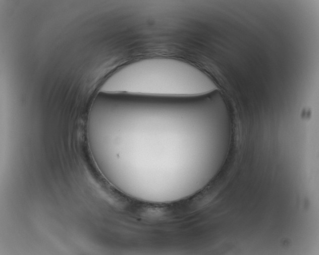 X0000113540071200909181033