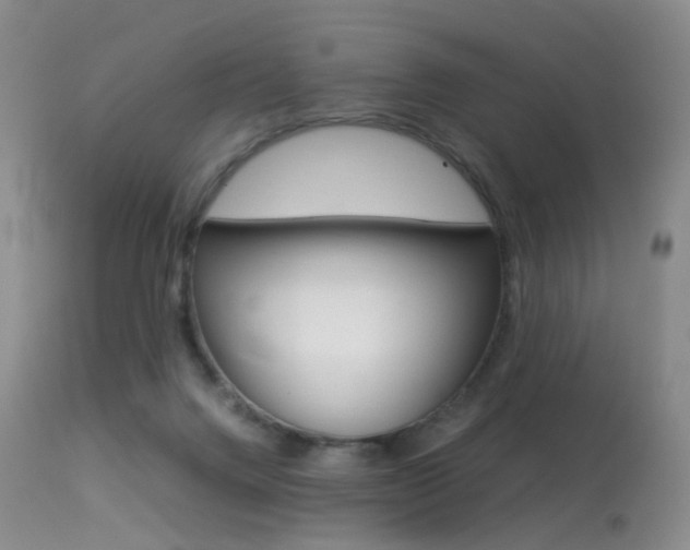 X0000113540072200909181033