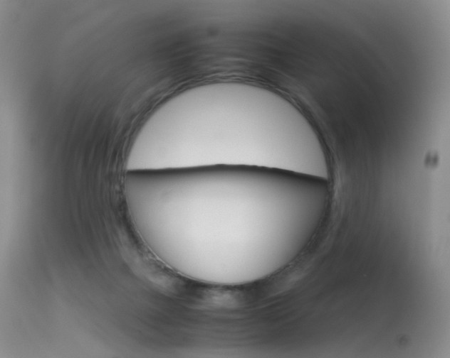 X0000113540073200909181033