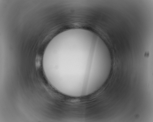 X0000113540075200909181033
