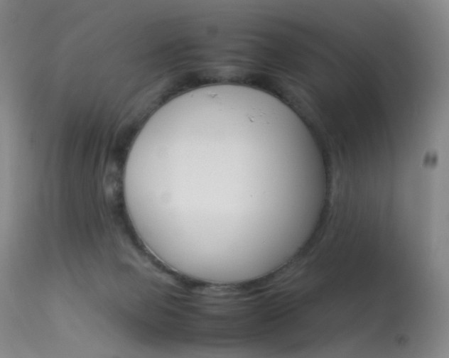 X0000113540077200909181033