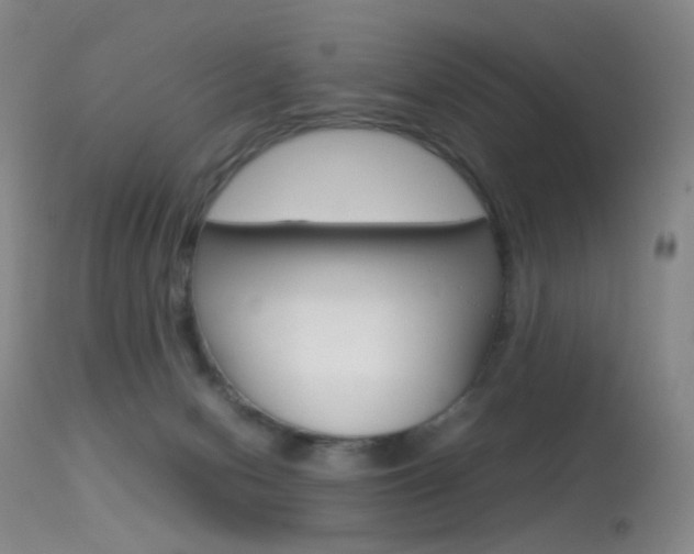 X0000113540078200909181033