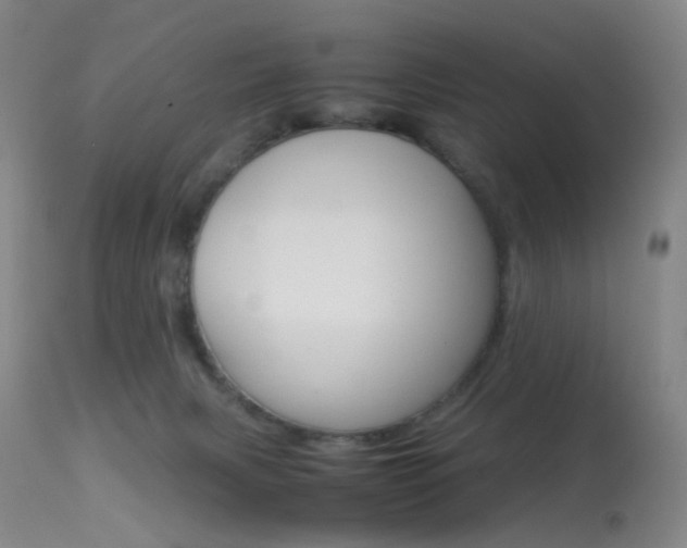 X0000113540079200909181033