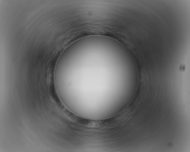 X0000113540080200909181033