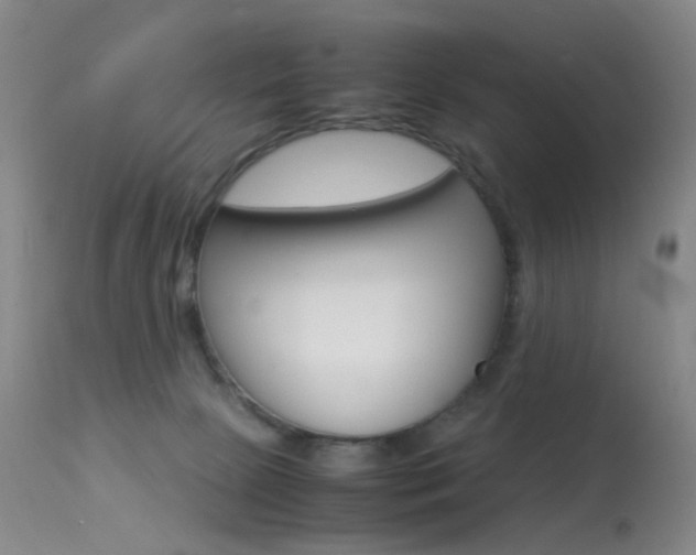 X0000113540081200909181033