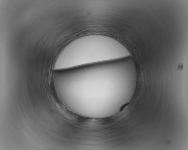 X0000113540082200909181033