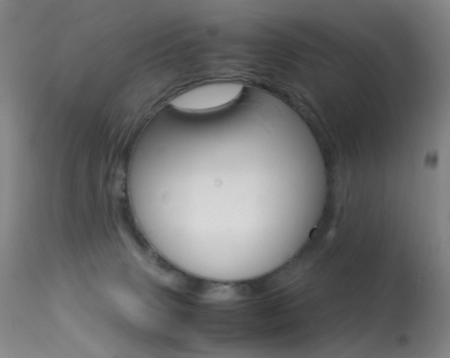 X0000113540083200909181033