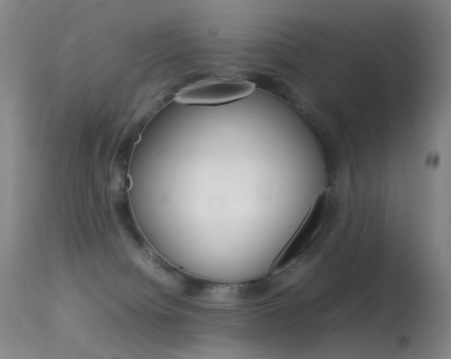 X0000113540084200909181033