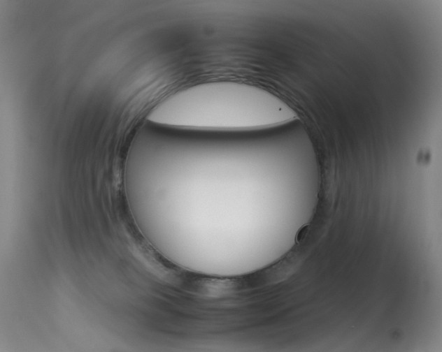 X0000113540085200909181034