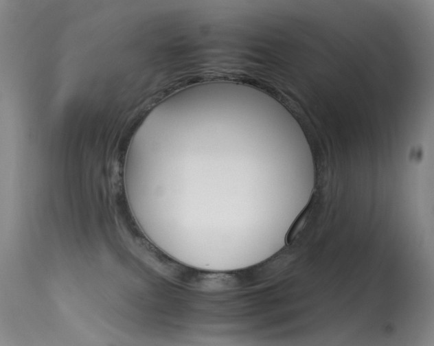 X0000113540087200909181034