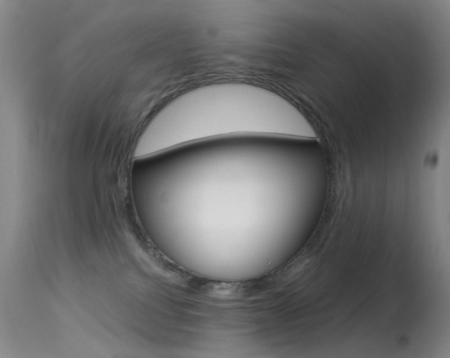 X0000113540088200909181034