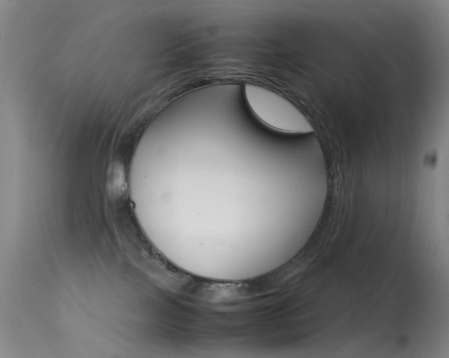 X0000113540089200909181034