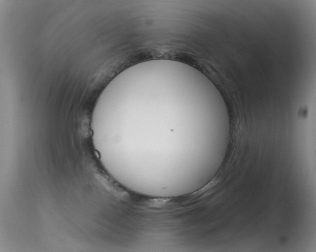 X0000113540090200909181034