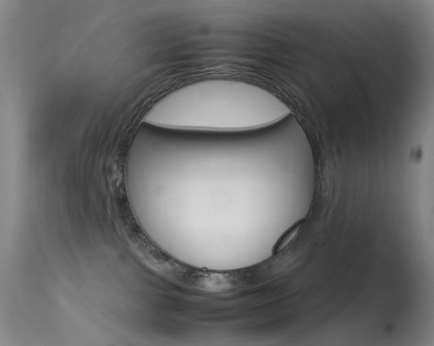 X0000113540091200909181034