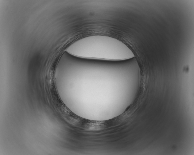 X0000113540093200909181034