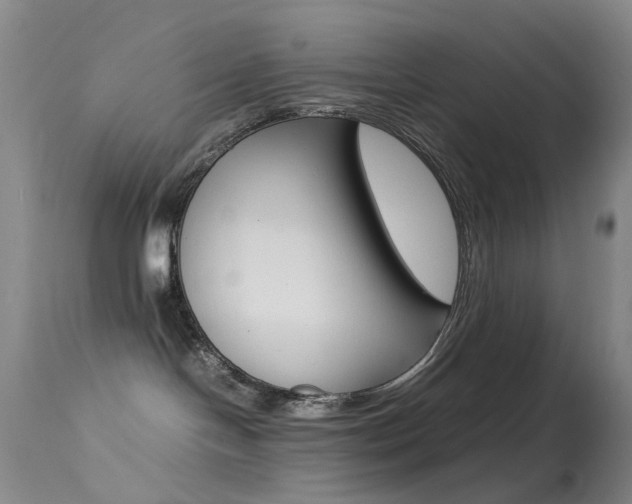 X0000113540094200909181034
