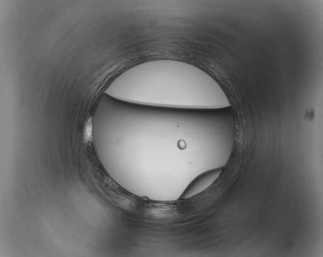 X0000113540095200909181034