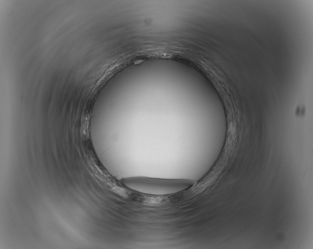 X0000113540096200909181034