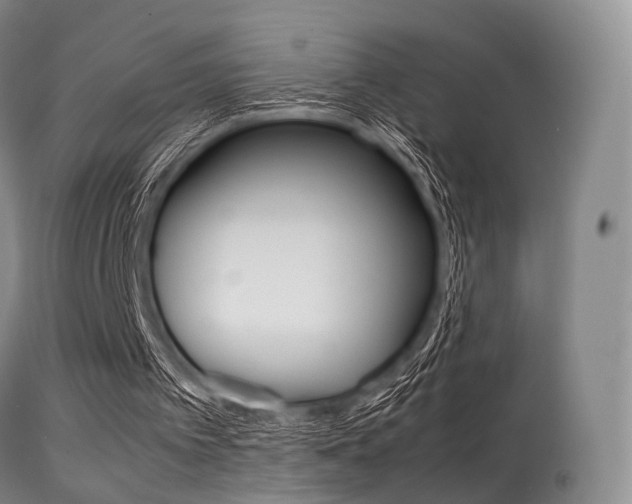X0000113540097200909181033