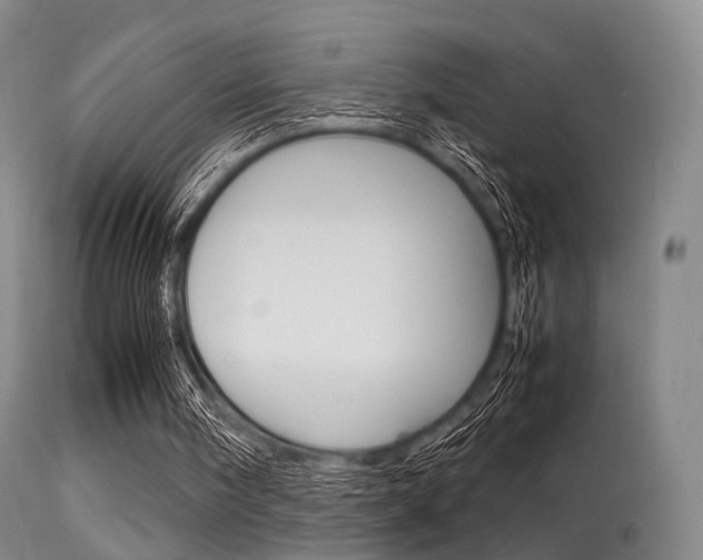 X0000113540098200909181033
