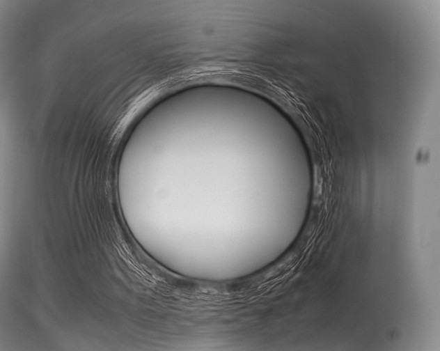 X0000113540099200909181033