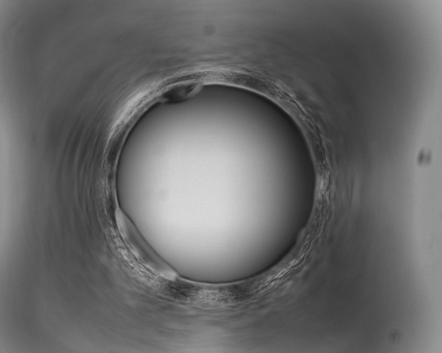 X0000113540101200909181033