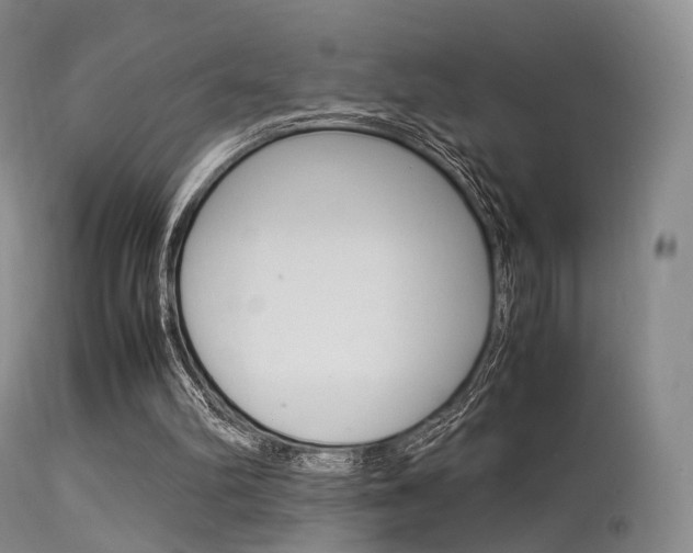X0000113540102200909181033