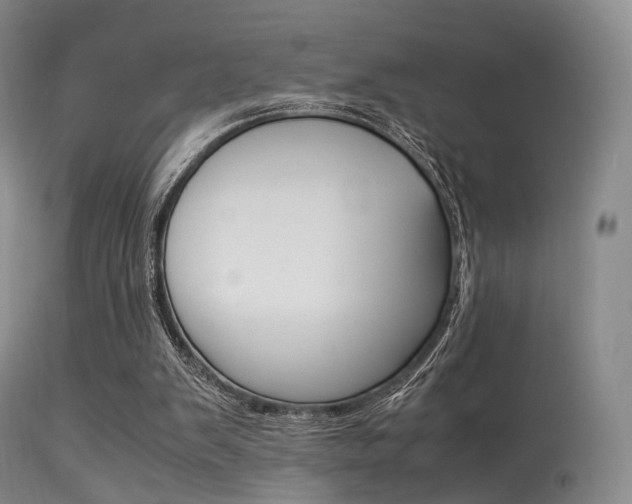 X0000113540103200909181032