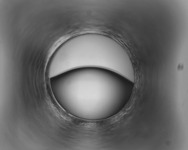 X0000113540104200909181032