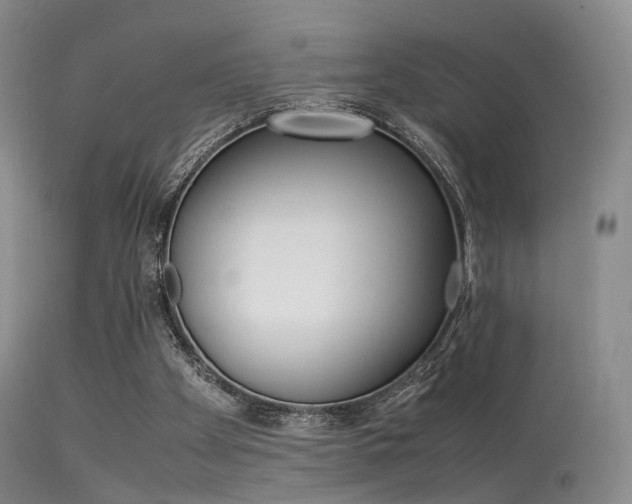 X0000113540105200909181032