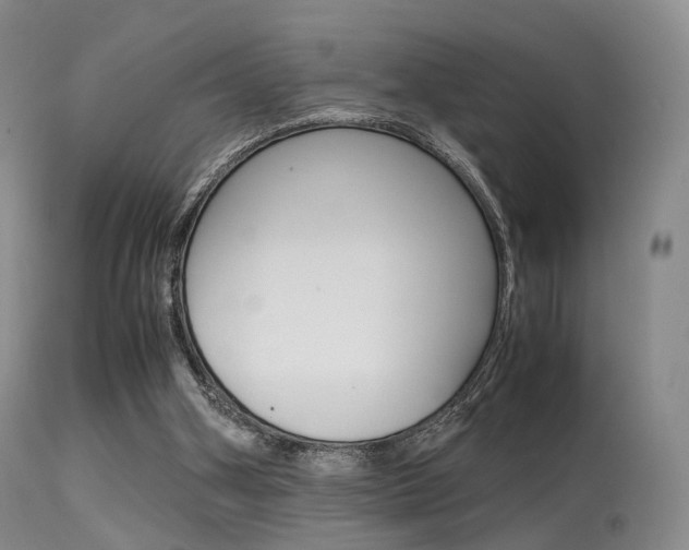 X0000113540106200909181032