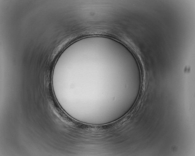 X0000113540107200909181032