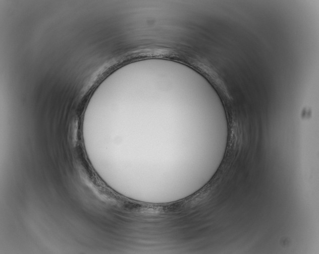X0000113540110200909181032