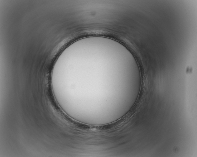 X0000113540111200909181032