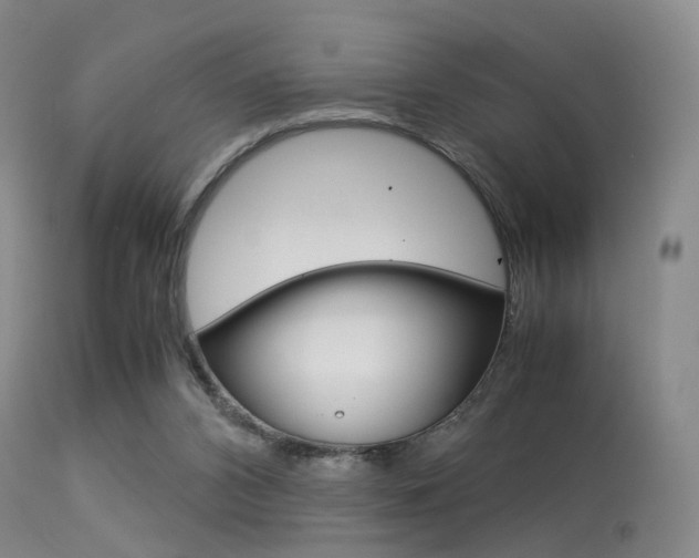 X0000113540112200909181032