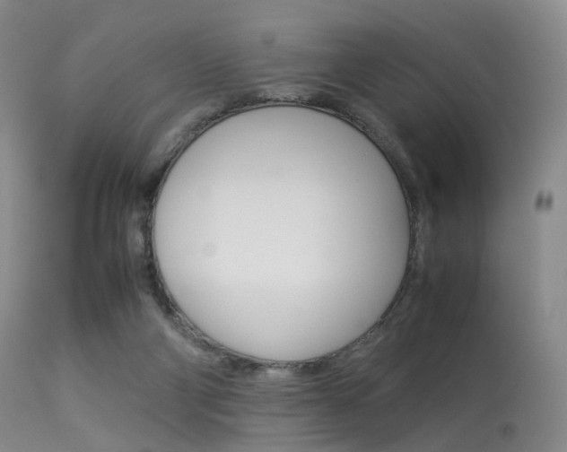 X0000113540114200909181032